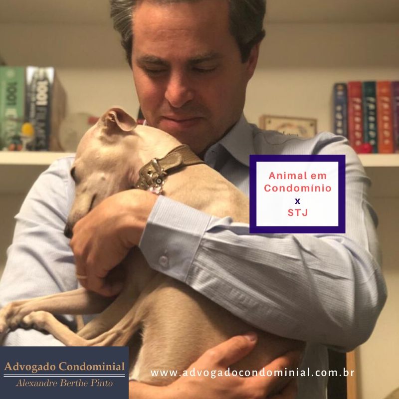 Posso ter animal em condomínio?